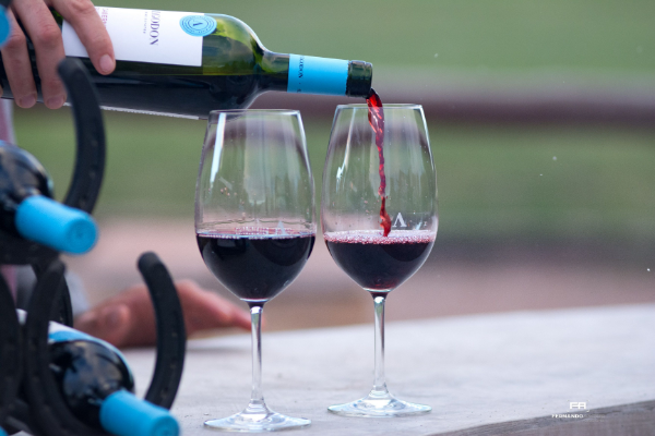 CABERNET SAUVIGNON 2017