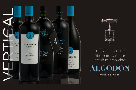 Verticales de Algodon Wines