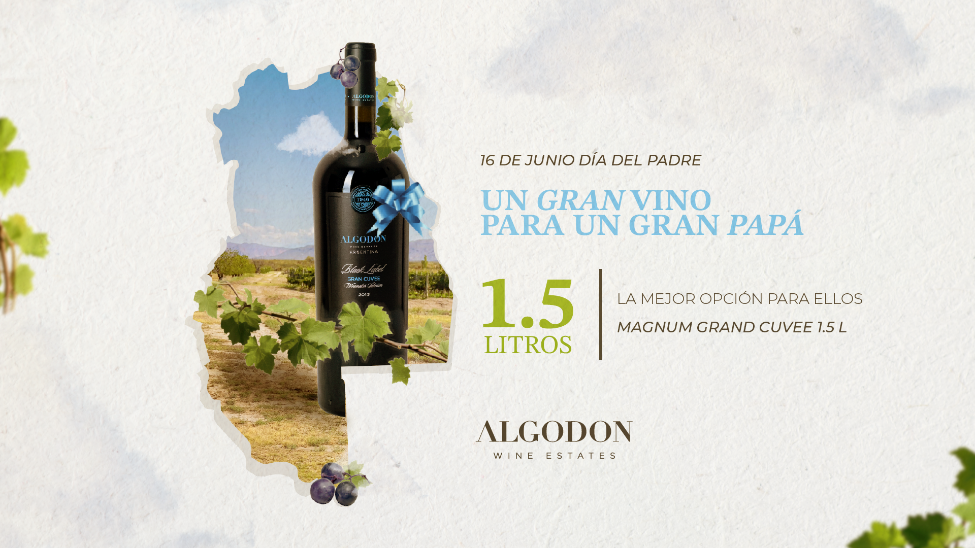 Algodon Wines