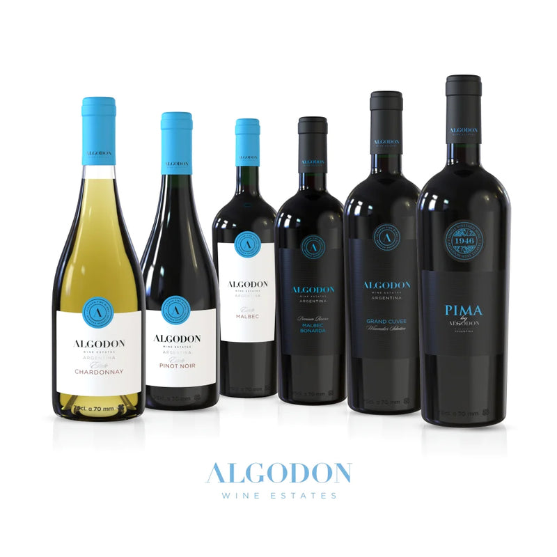 MIX ENCUENTRO - Caja x6