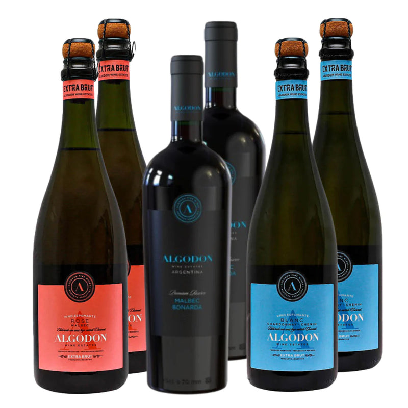 Espumante Premium - Caja x6