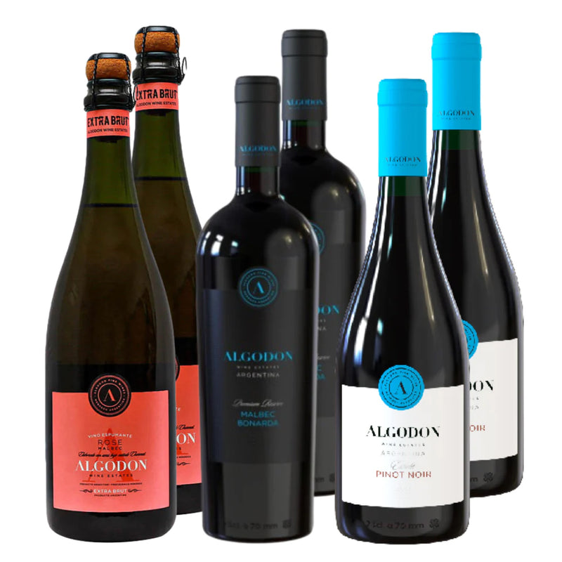 Espumante Interesante - Caja x6